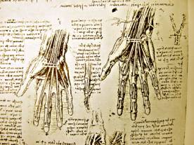 レオナルド・ダ・ヴィンチの芸術的解剖学