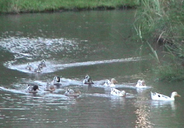 �����̑�Q