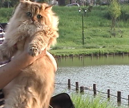 ���̂͂܂���